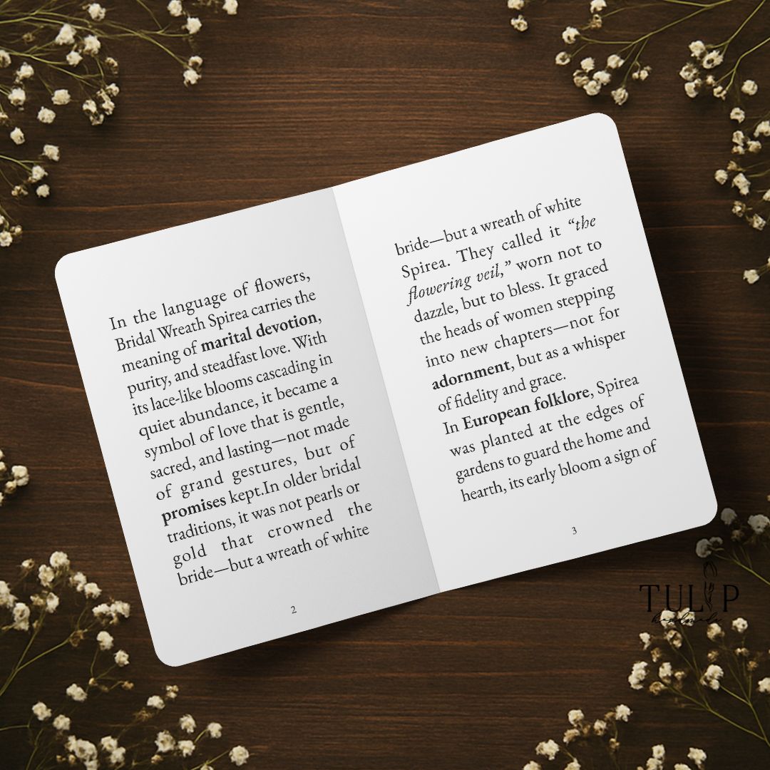 Bridal Wreath Spirea Card