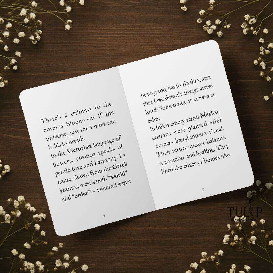 Cosmos Card Tulip Handmade