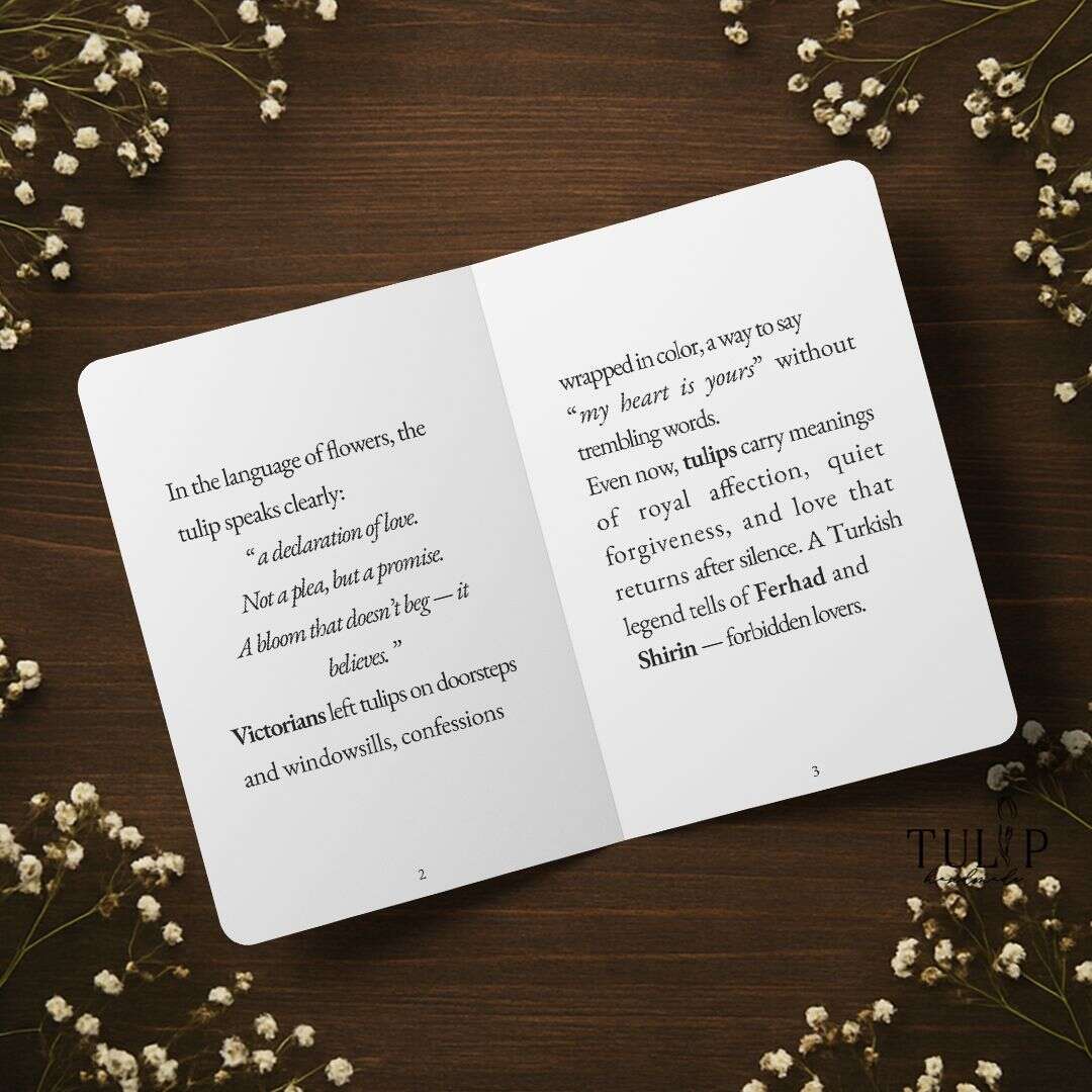 Tulip Card Tulip Handmade