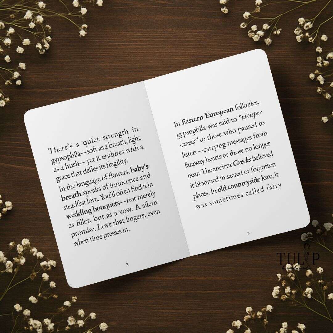 Gypsophila Card Tulip Handmade