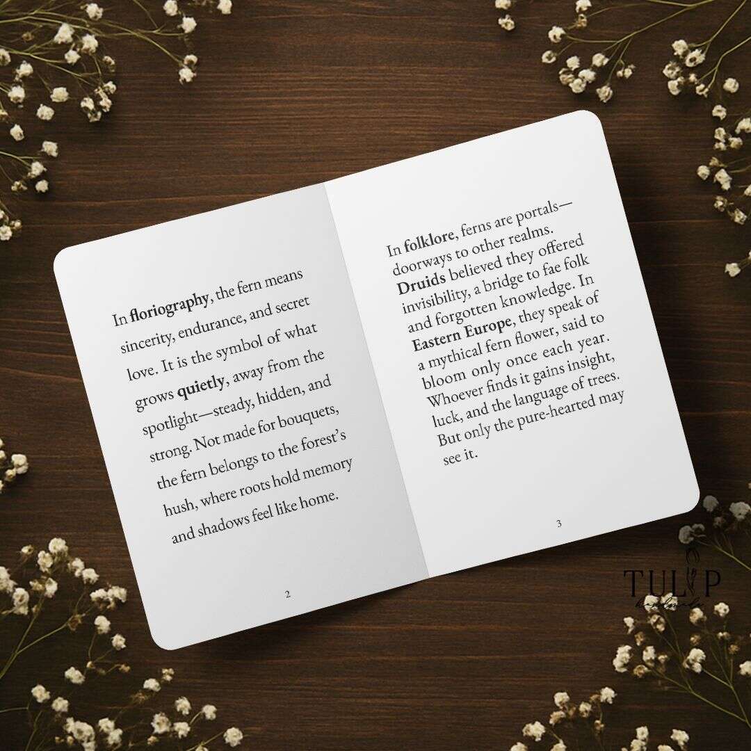 Dandelion Card Tulip Handmade