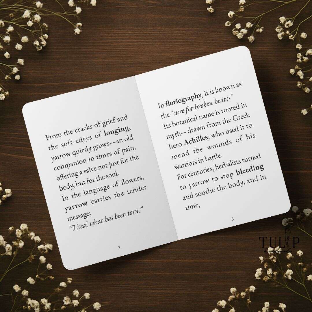 Yarrow Card Tulip Handmade