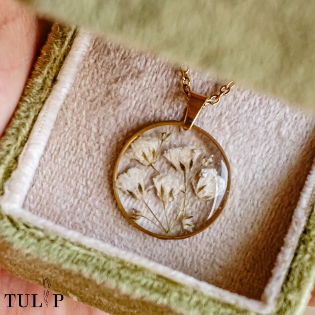 Gypsophila - the one that waits