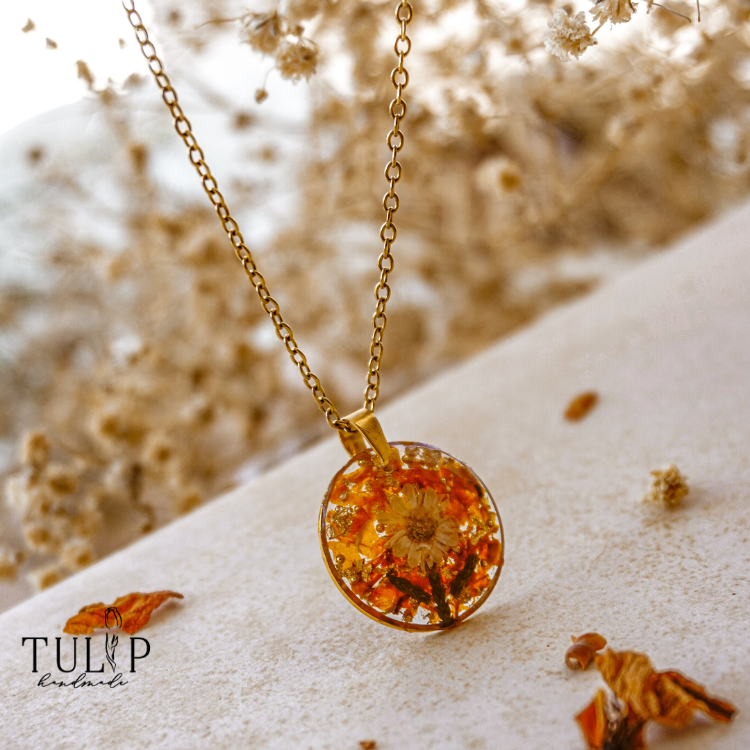 Marigold - Guide to living